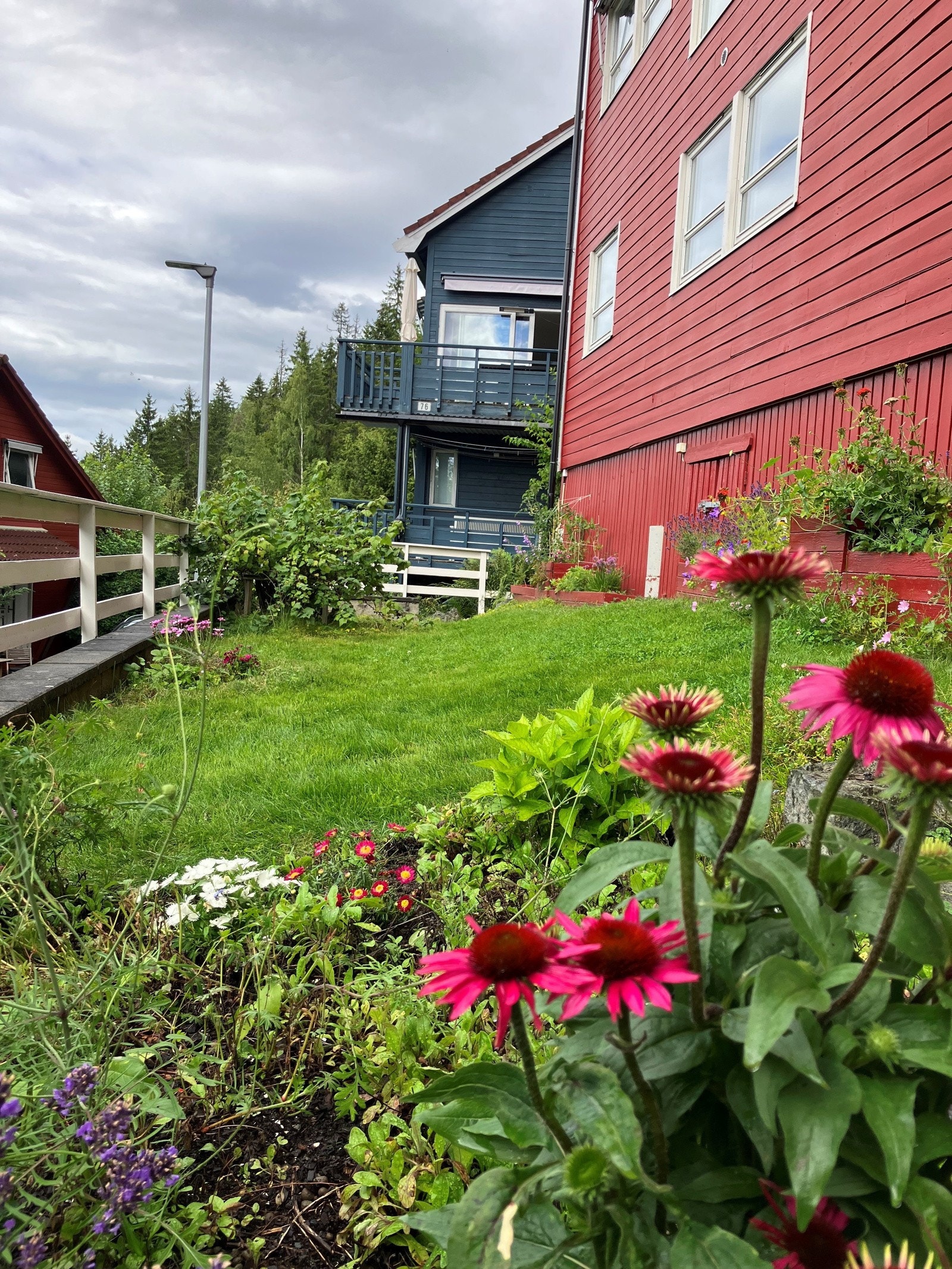 Hage foran huset Galleribilde