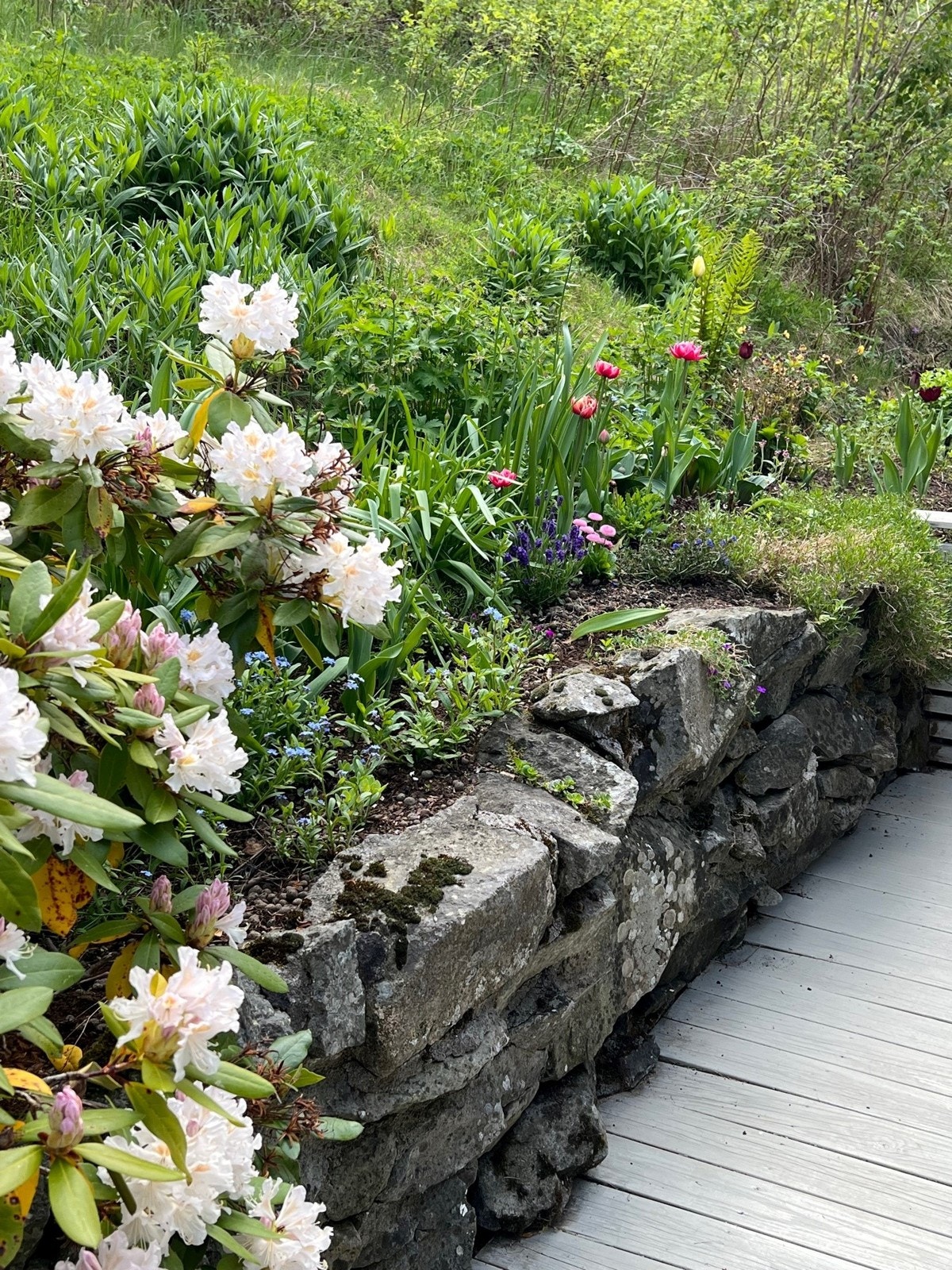 Sommerbilde fra hagen ved terrassen Galleribilde