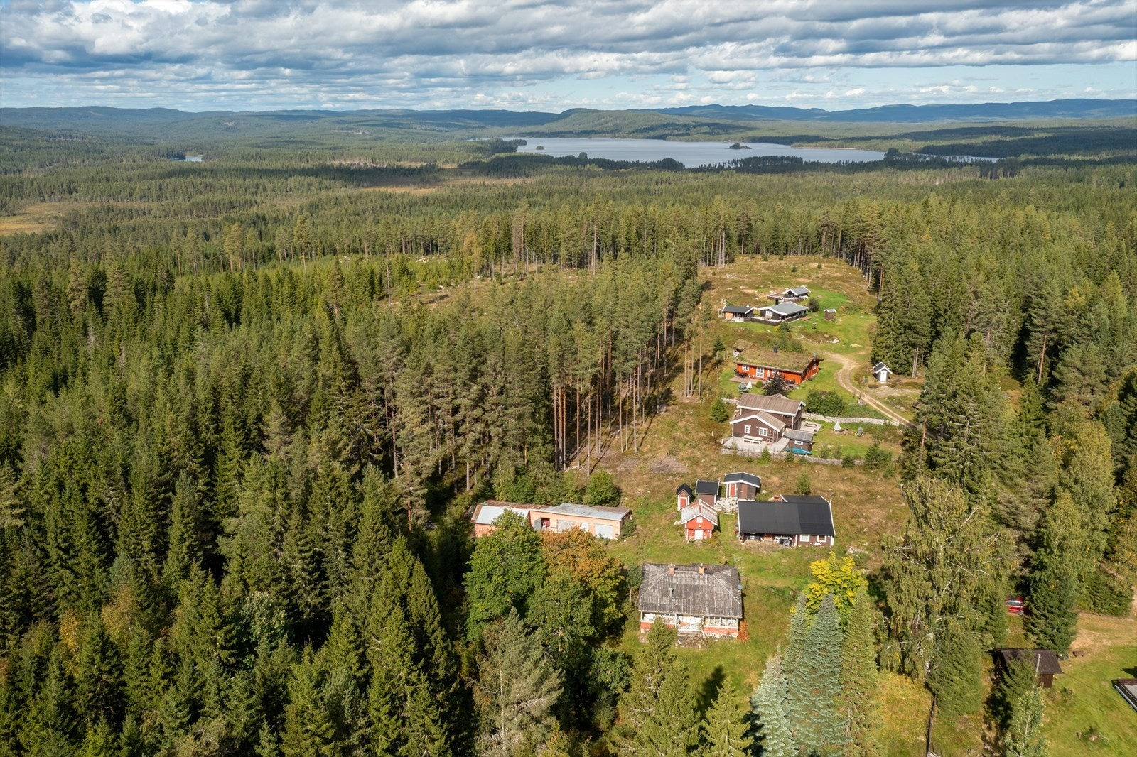Rotbergsjøen kan skimtes i bakgrunnen. Galleribilde