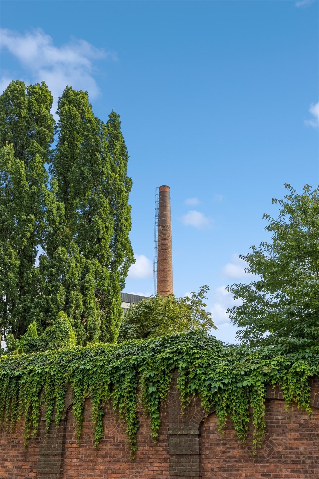 Pene FREIA Sjokoladefabrikk ligger i gåavstand fra leiligheten. Her ligger en rik
historie for sjokoladeproduksjonen til Norge. Galleribilde