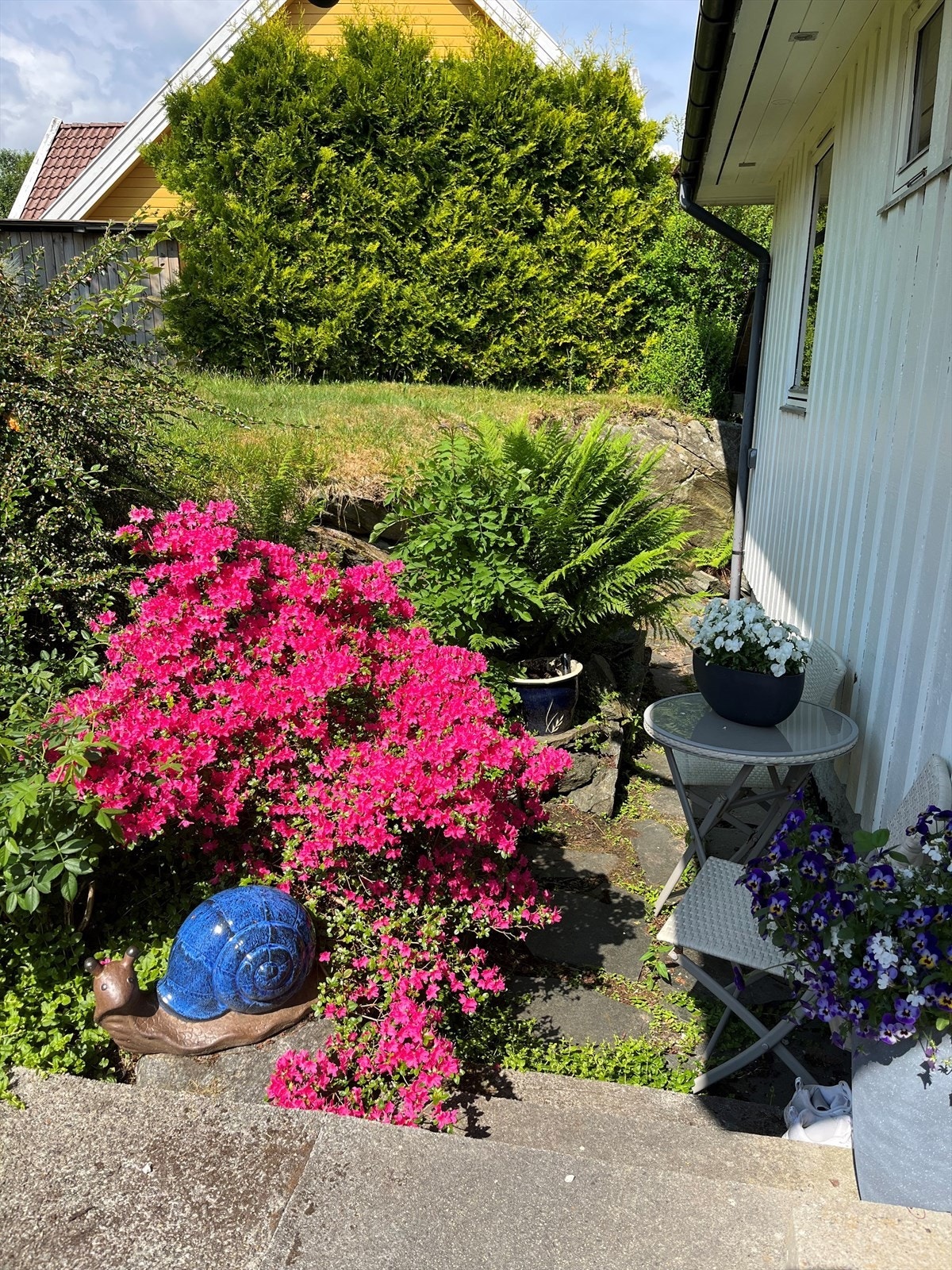 Planter.jpg Galleribilde