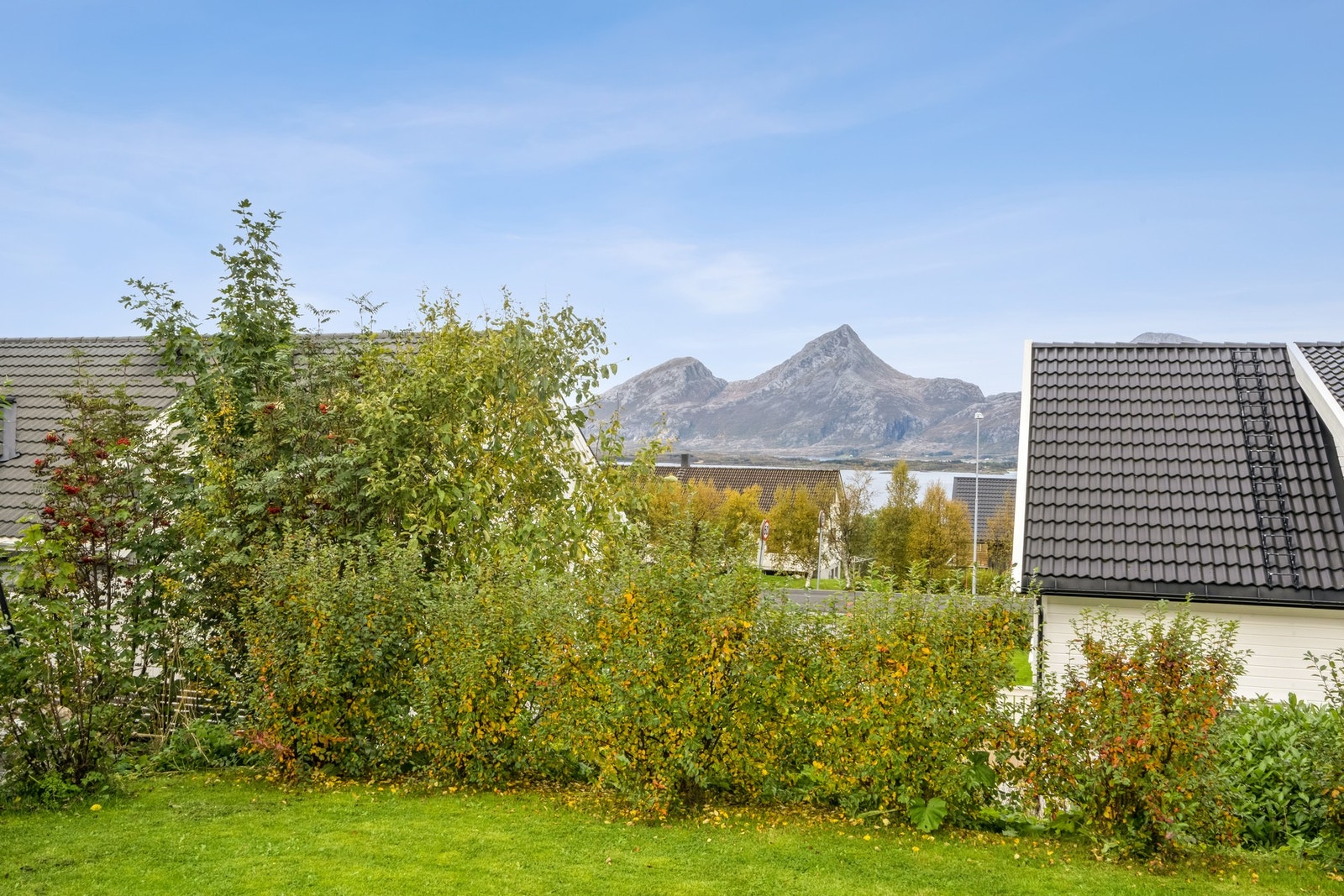 Utsikt mot Dønnamann og Alstenfjorden i nord Galleribilde