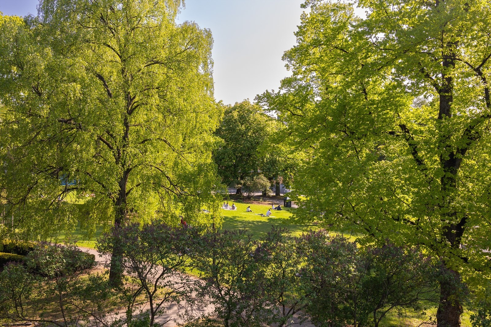 Fine turområder i området. Galleribilde