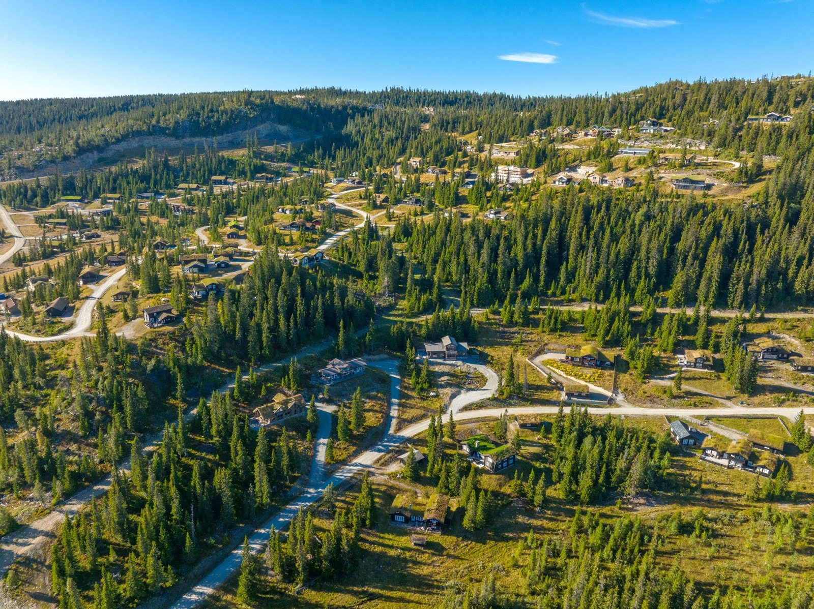 Bjønnliskardet 3 (40) Galleribilde