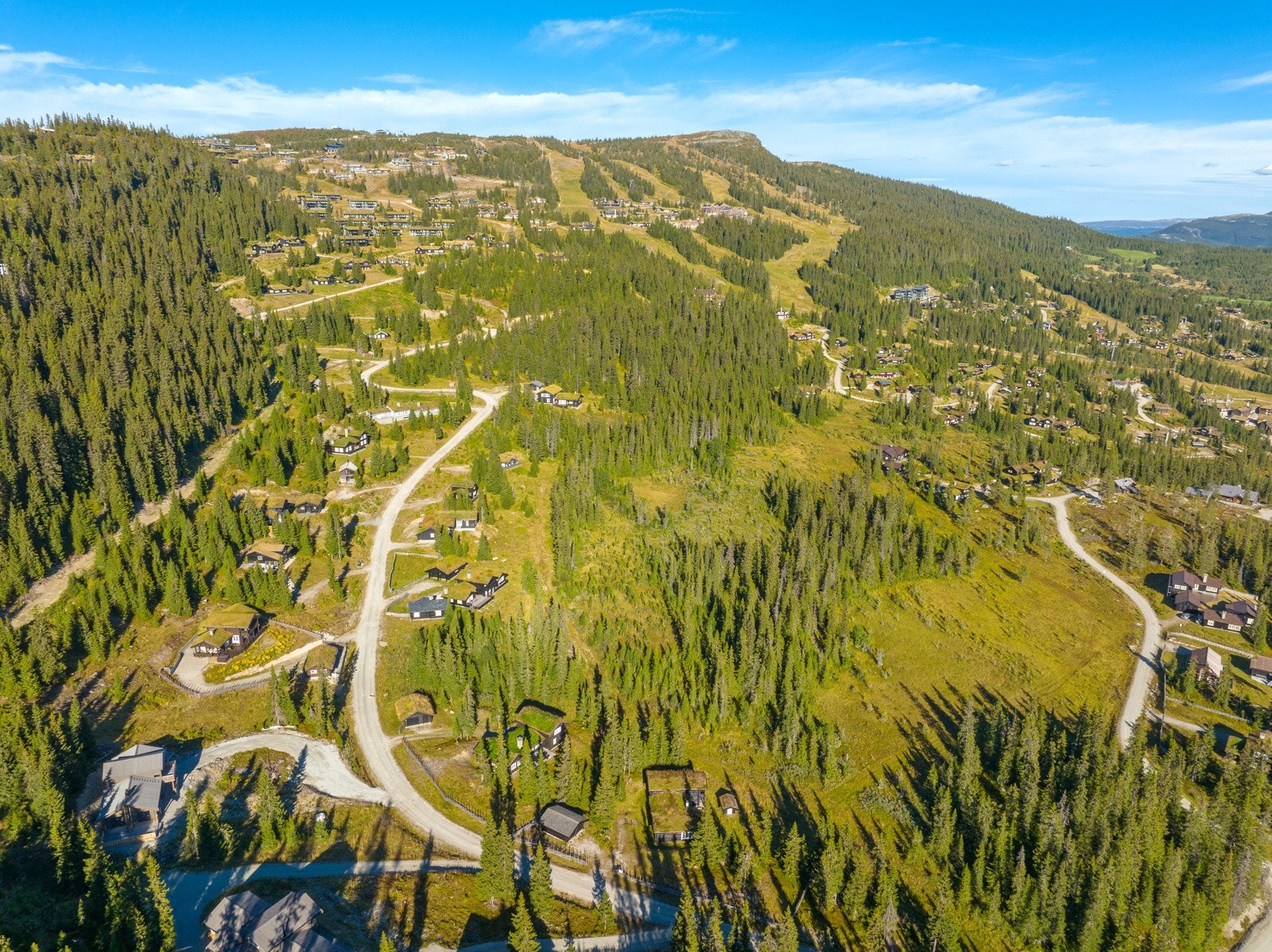 Bjønnliskardet 3 (43) Galleribilde