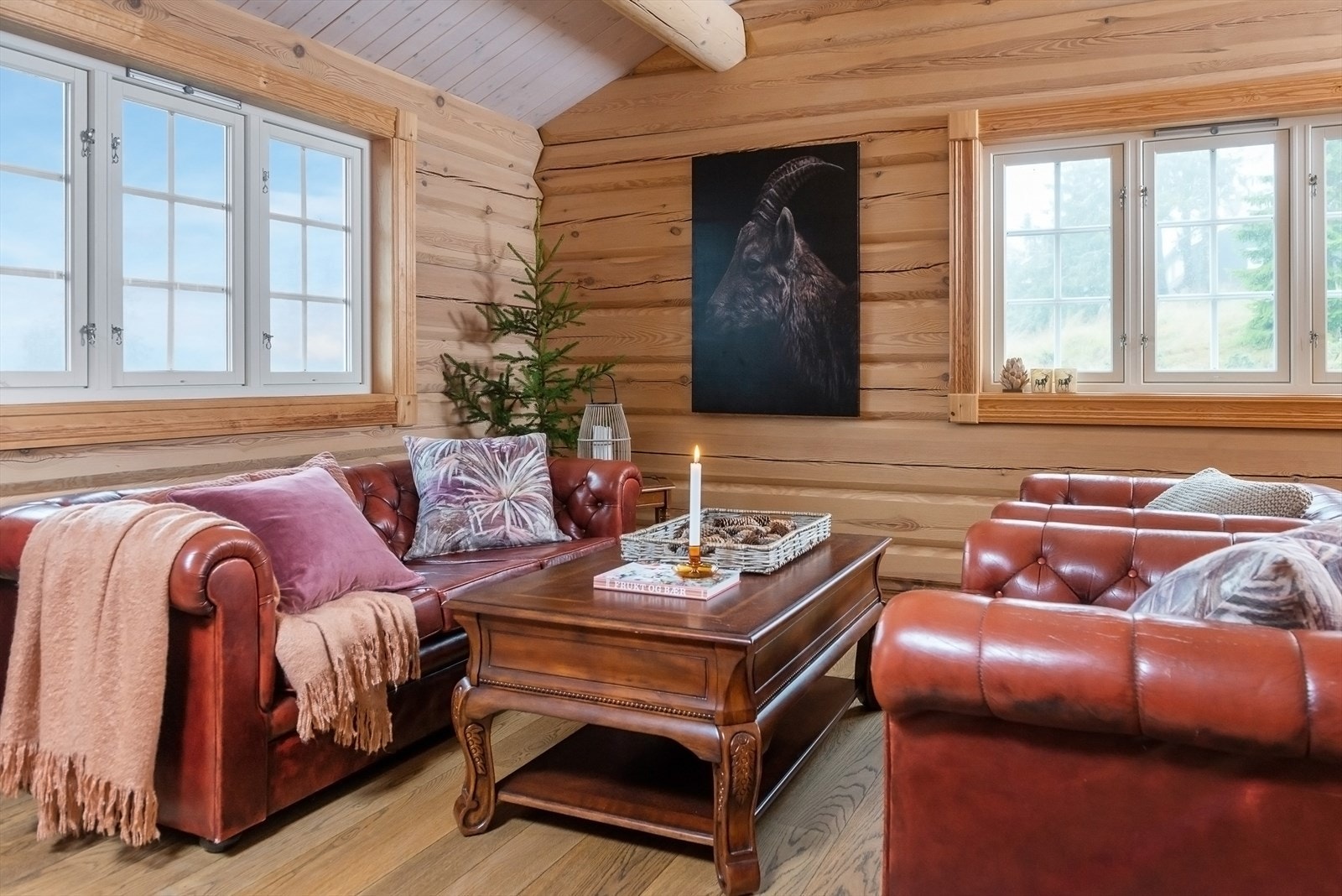 Fint, naturlig lys inn over salongen. Galleribilde