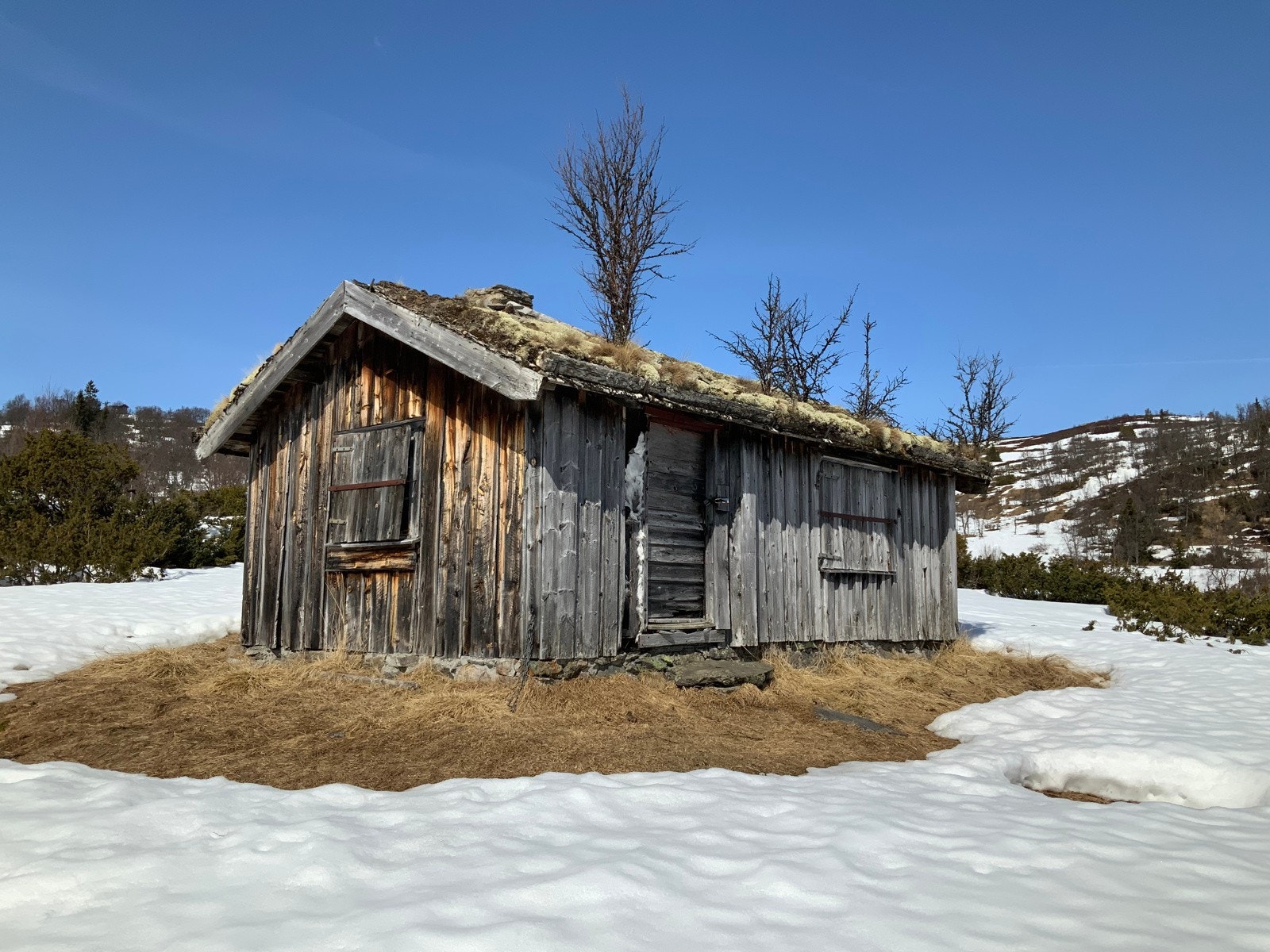 Støl "Ringerike". I dårlig forfatning Galleribilde
