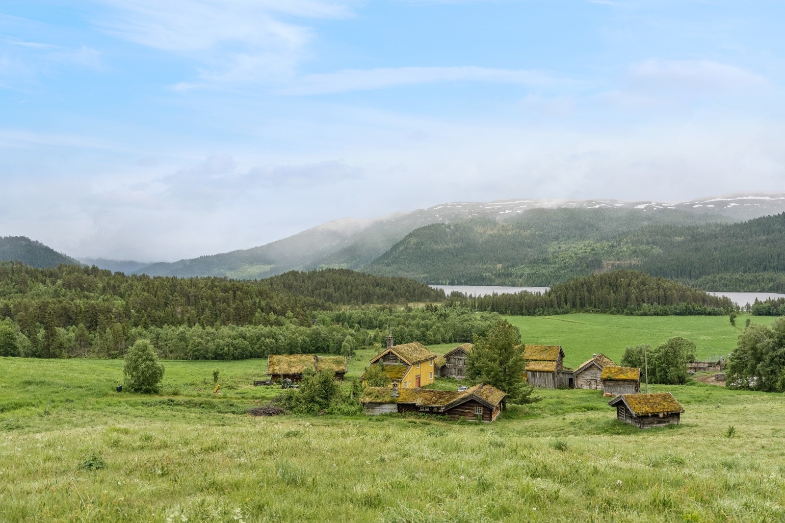 Eiendommen har også støl i utmarka ved Holtardalen Galleribilde