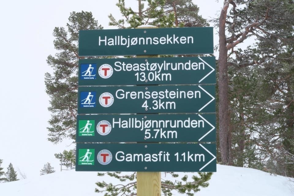 Stort løypenett som er godt merket Galleribilde