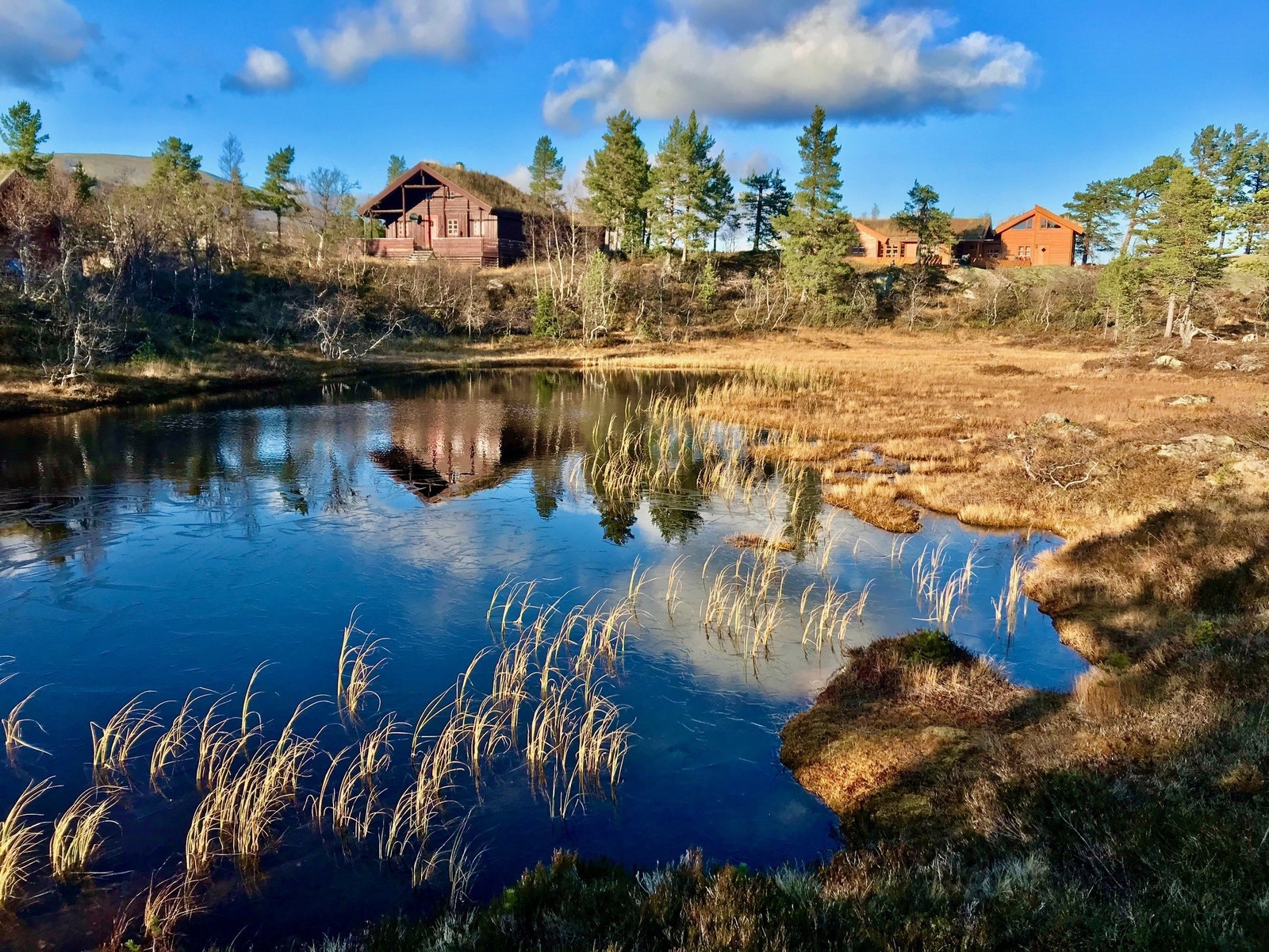 Høstbilde fra tomteområdet Galleribilde