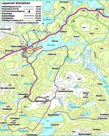 løypekart med tomtefelt Galleribilde