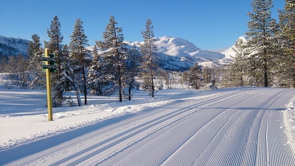 Nypreppede langrennsløyper rett på utsiden av hyttedøra Galleribilde