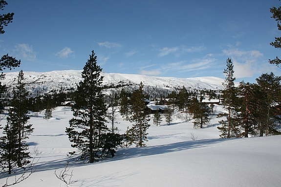 fra tomtefeltet mot skisenteret Galleribilde