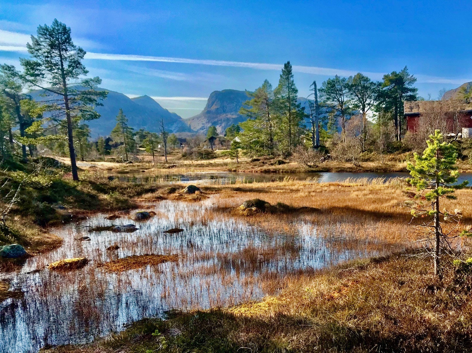 Høstbilde fra tomteområdet Galleribilde