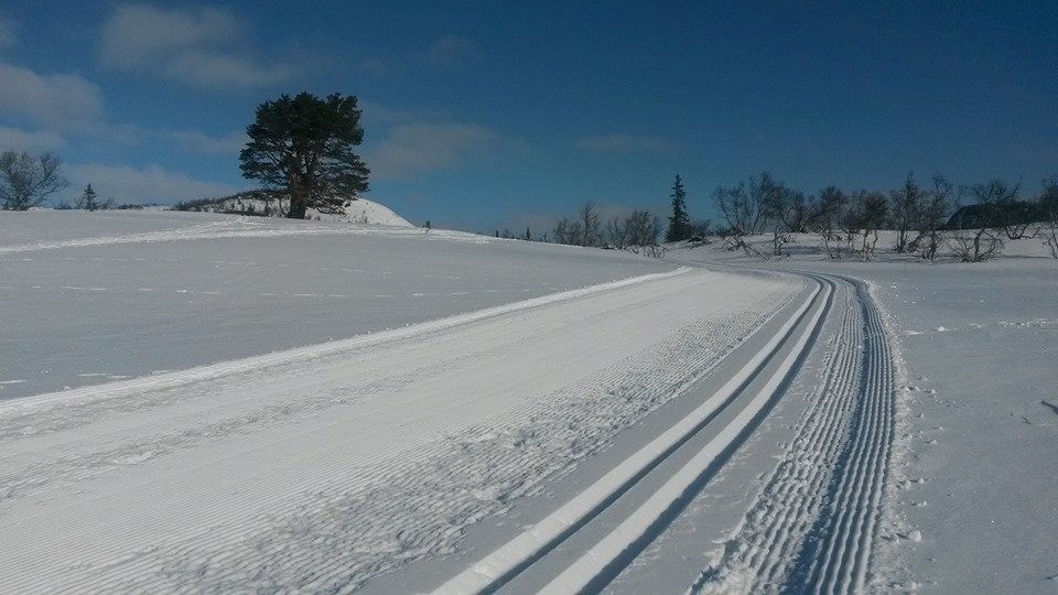 Idylliske langrennsløyper Galleribilde