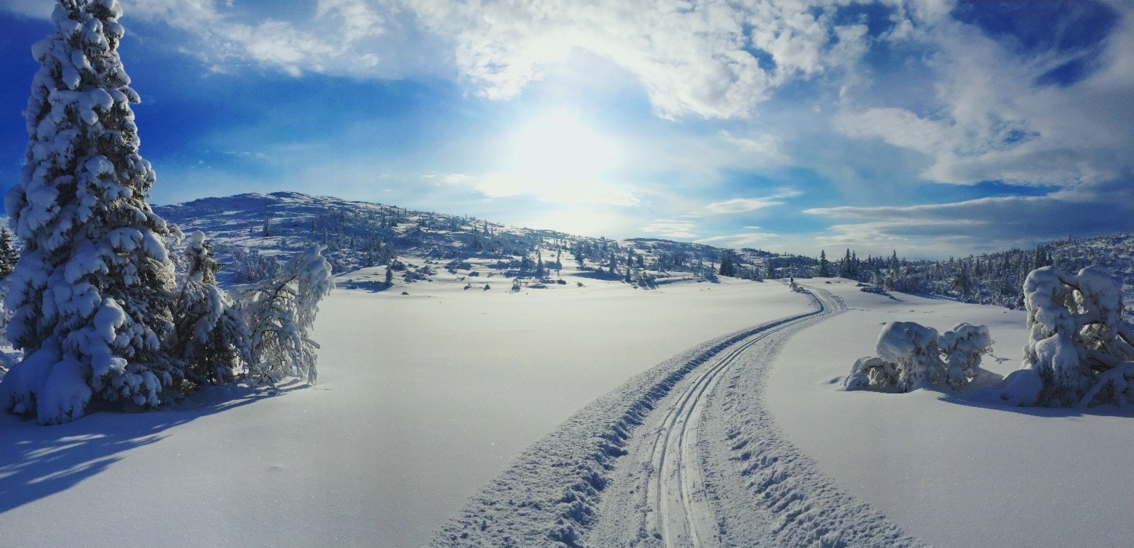 Fantastisk terreng med nydelige løyper Galleribilde