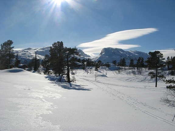 Utsikt mot kuskar Galleribilde