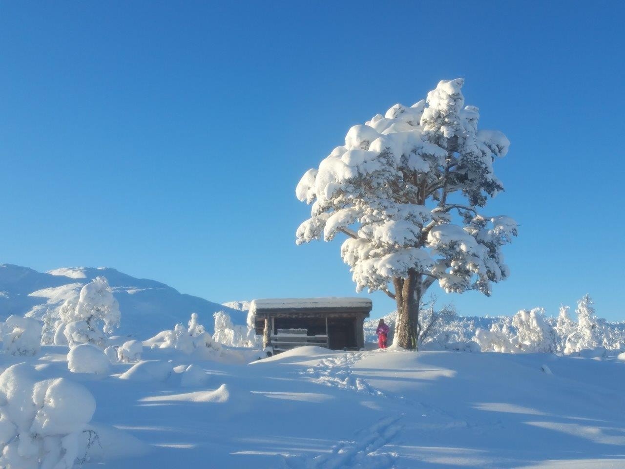 Gapahuken - turmål sommer og vinter Galleribilde