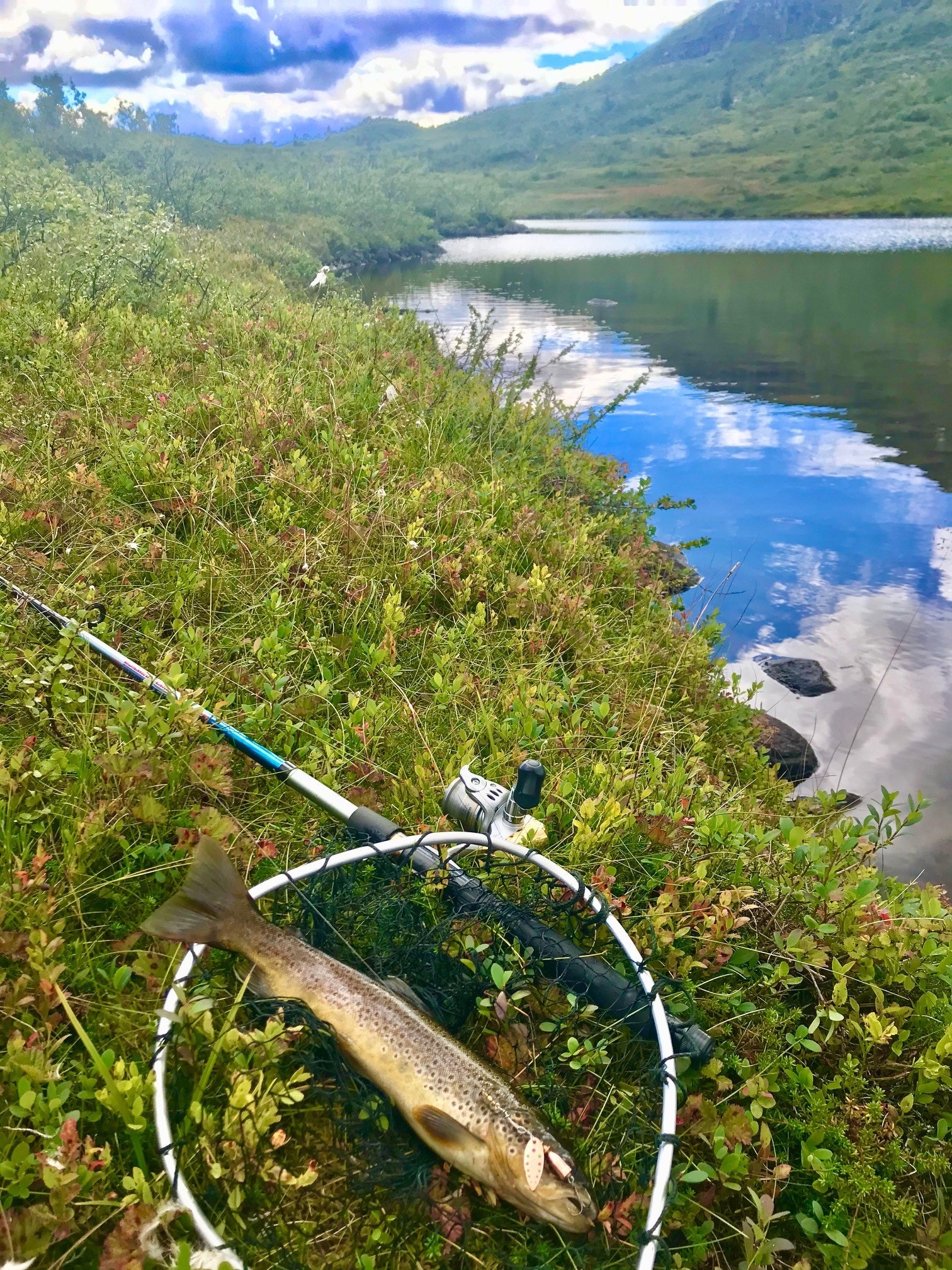 Fine fiskevann Galleribilde