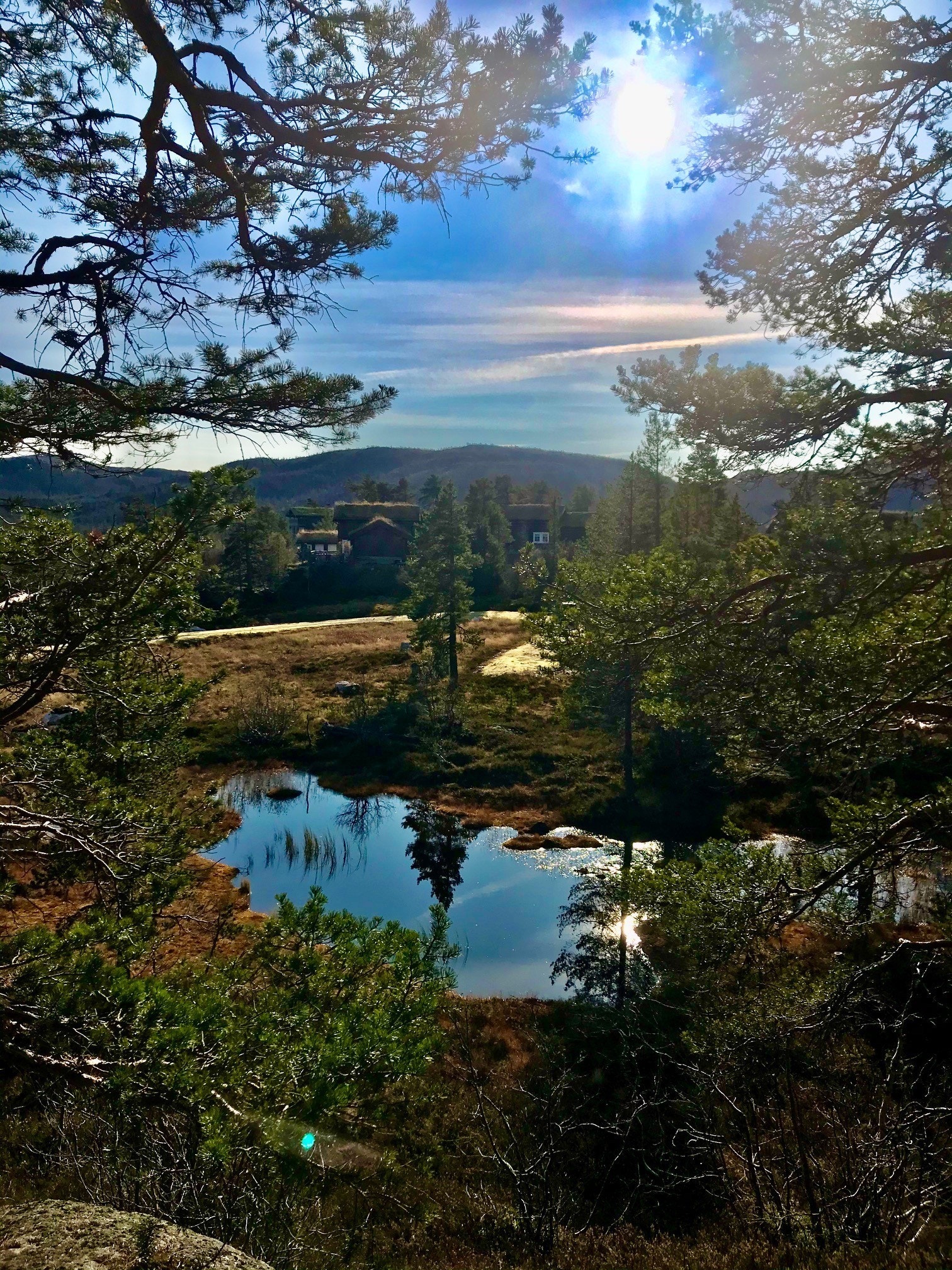 Høstbilde fra tomteområdet Galleribilde