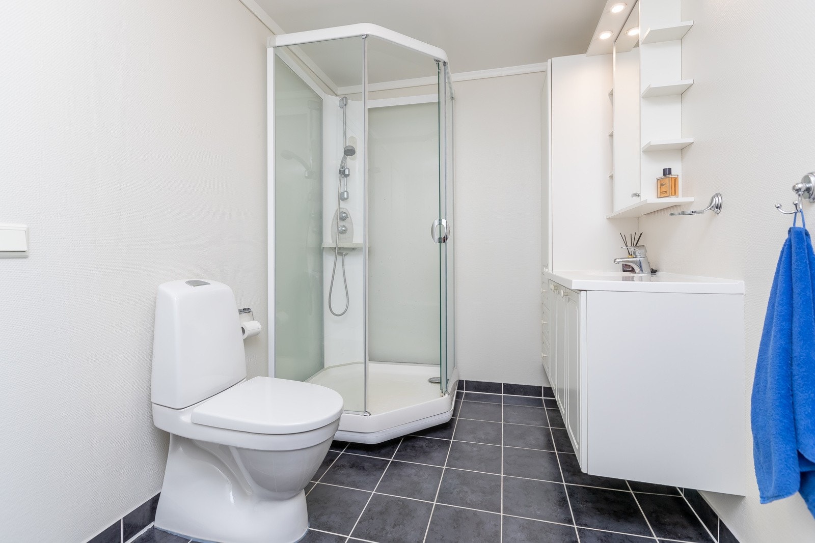 Dusjkabinett, gulvstående WC og innredning med skap Galleribilde