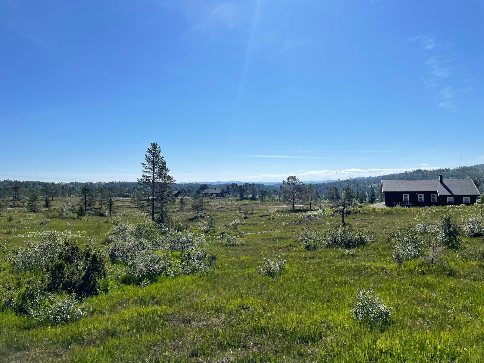 Bilder fra tomteområdet Galleribilde