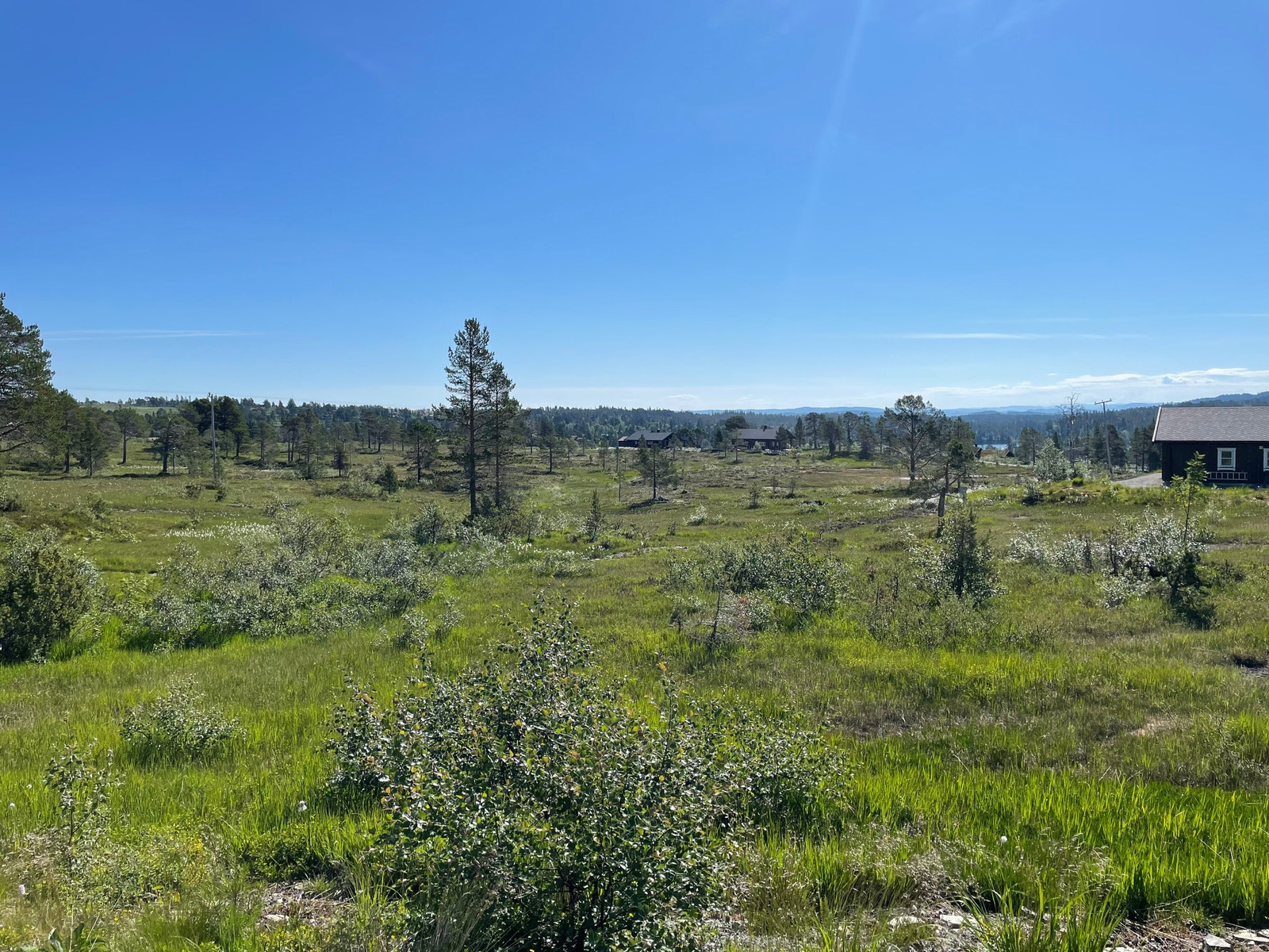 Bilder fra tomteområdet Galleribilde