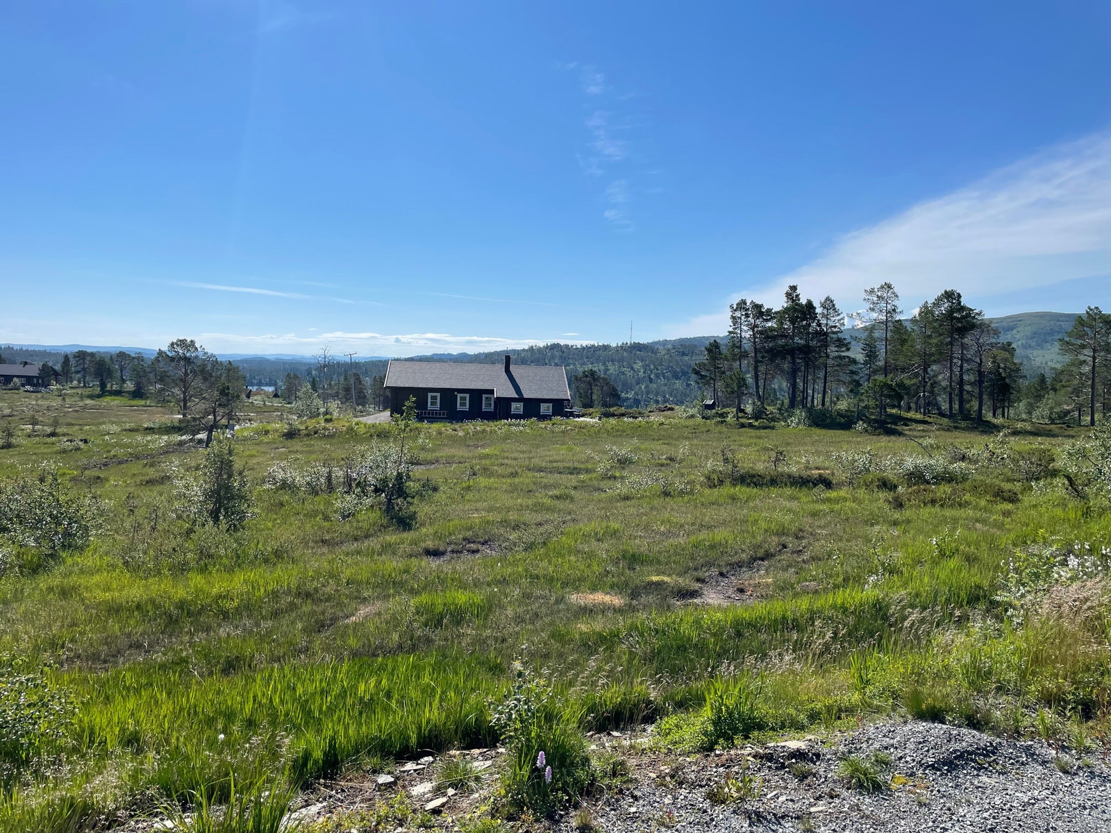 Bilder fra tomteområdet Galleribilde