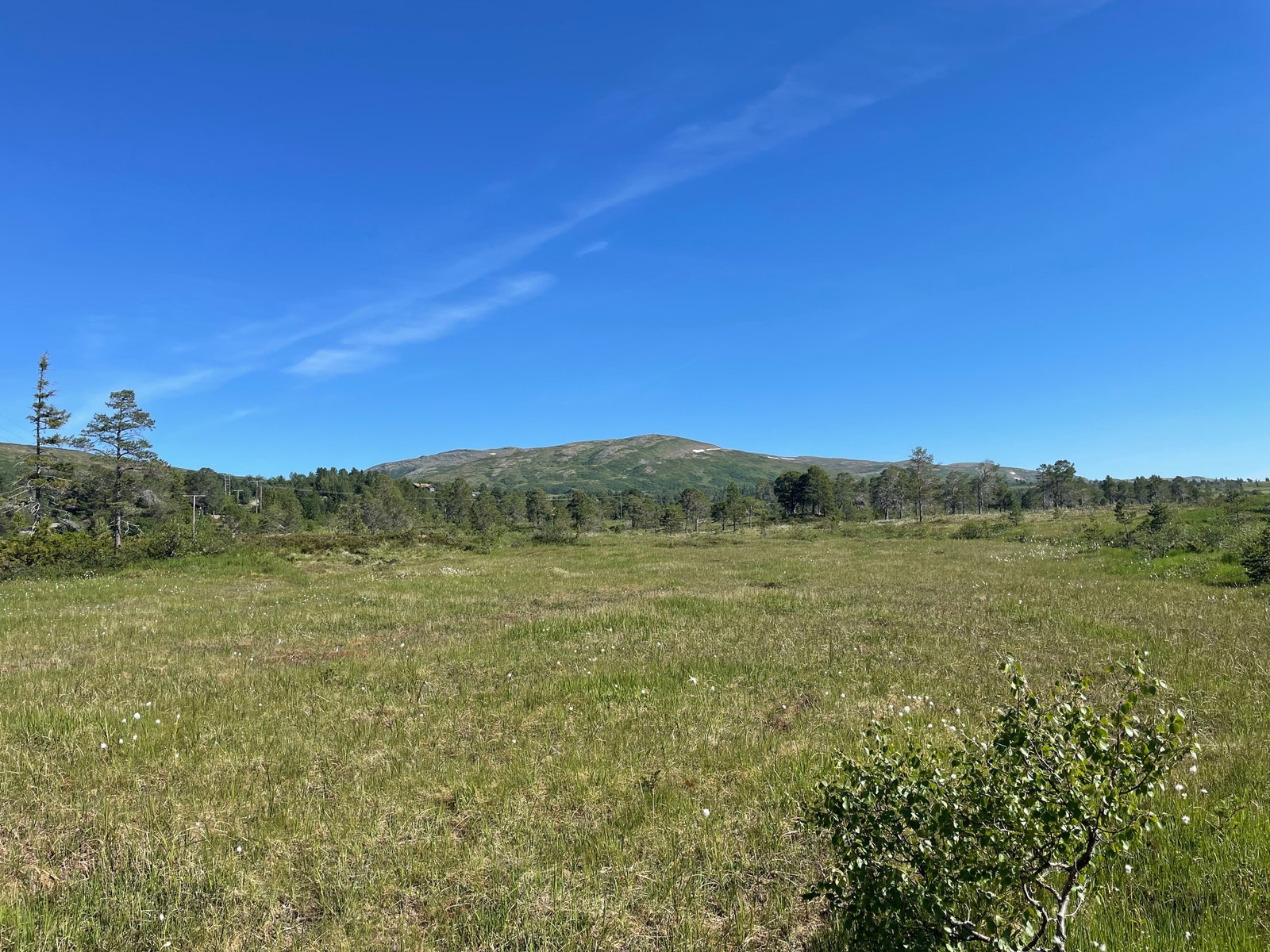 Bilder fra tomteområdet Galleribilde