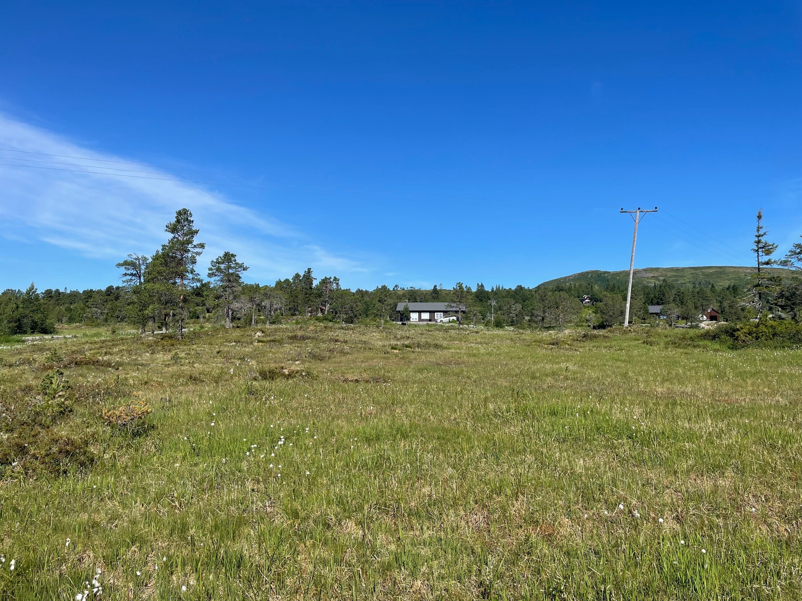 Bilder fra tomteområdet Galleribilde