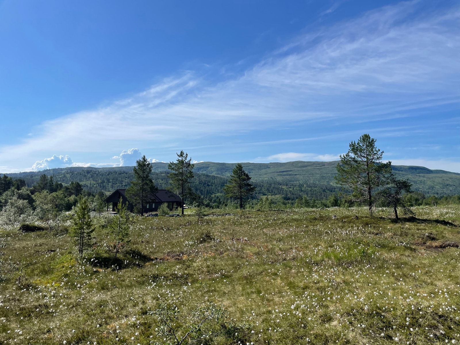 Bilder fra tomteområdet Galleribilde