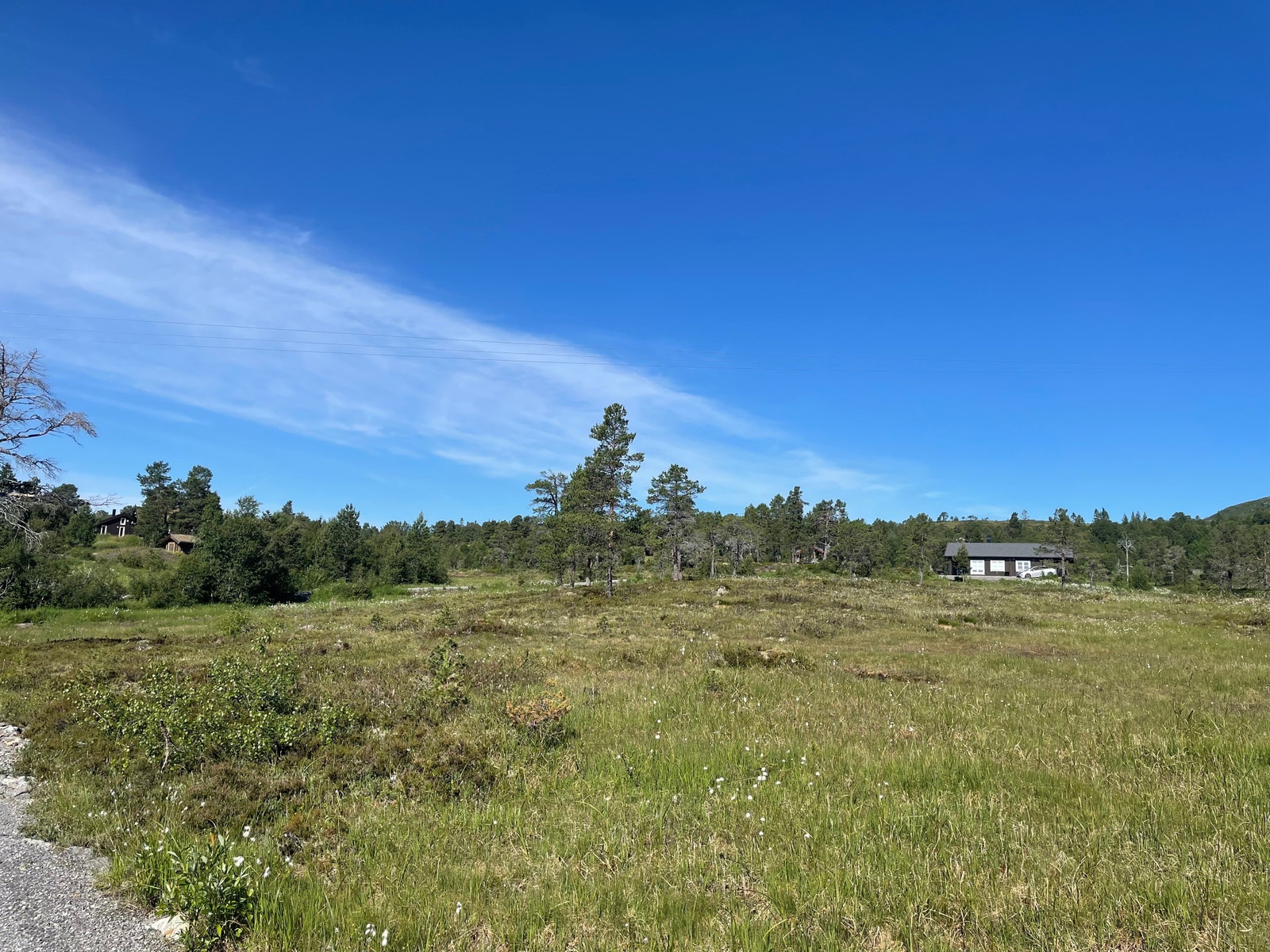 Bilder fra tomteområdet Galleribilde