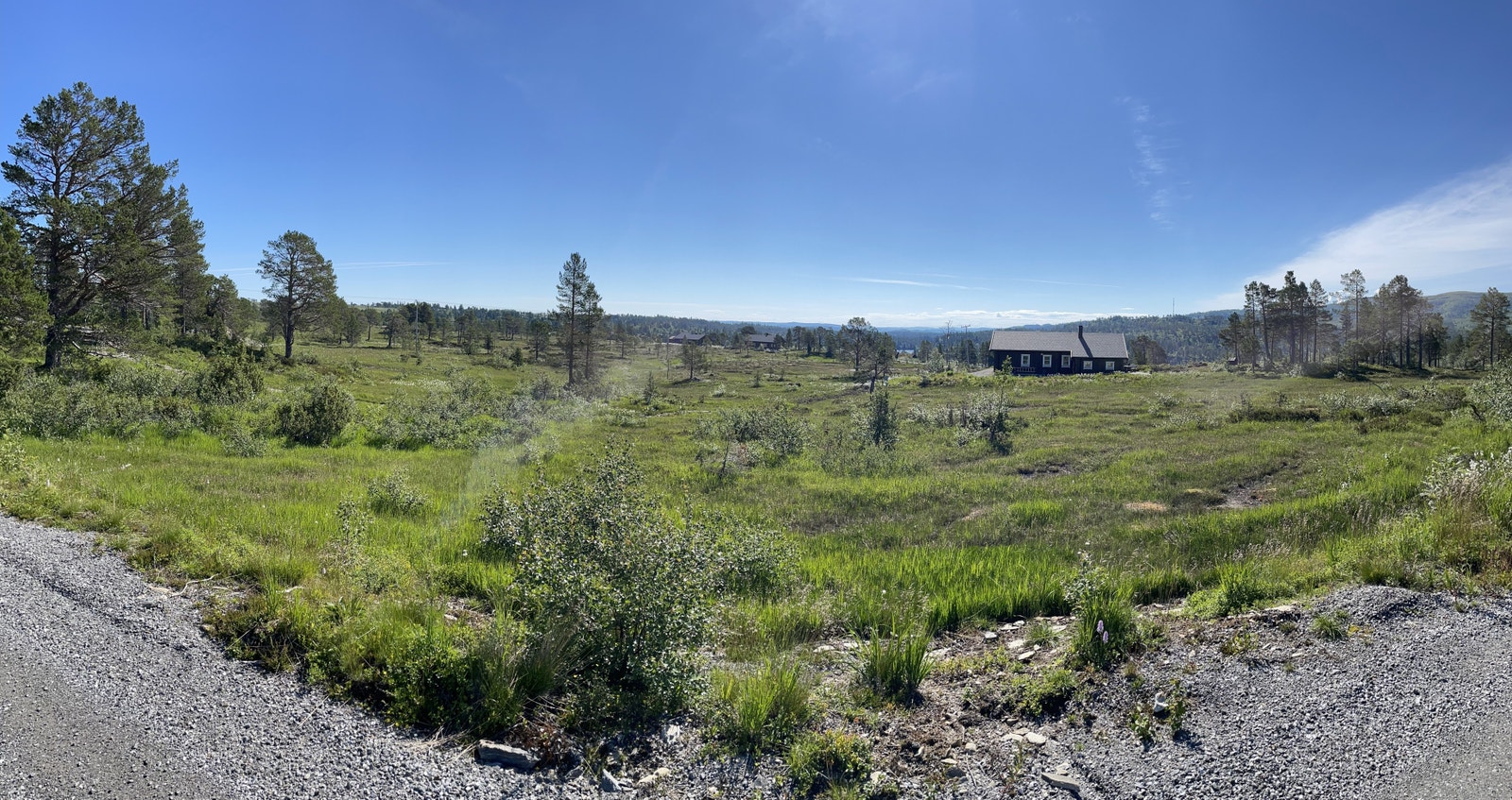 Bilder fra tomteområdet Galleribilde