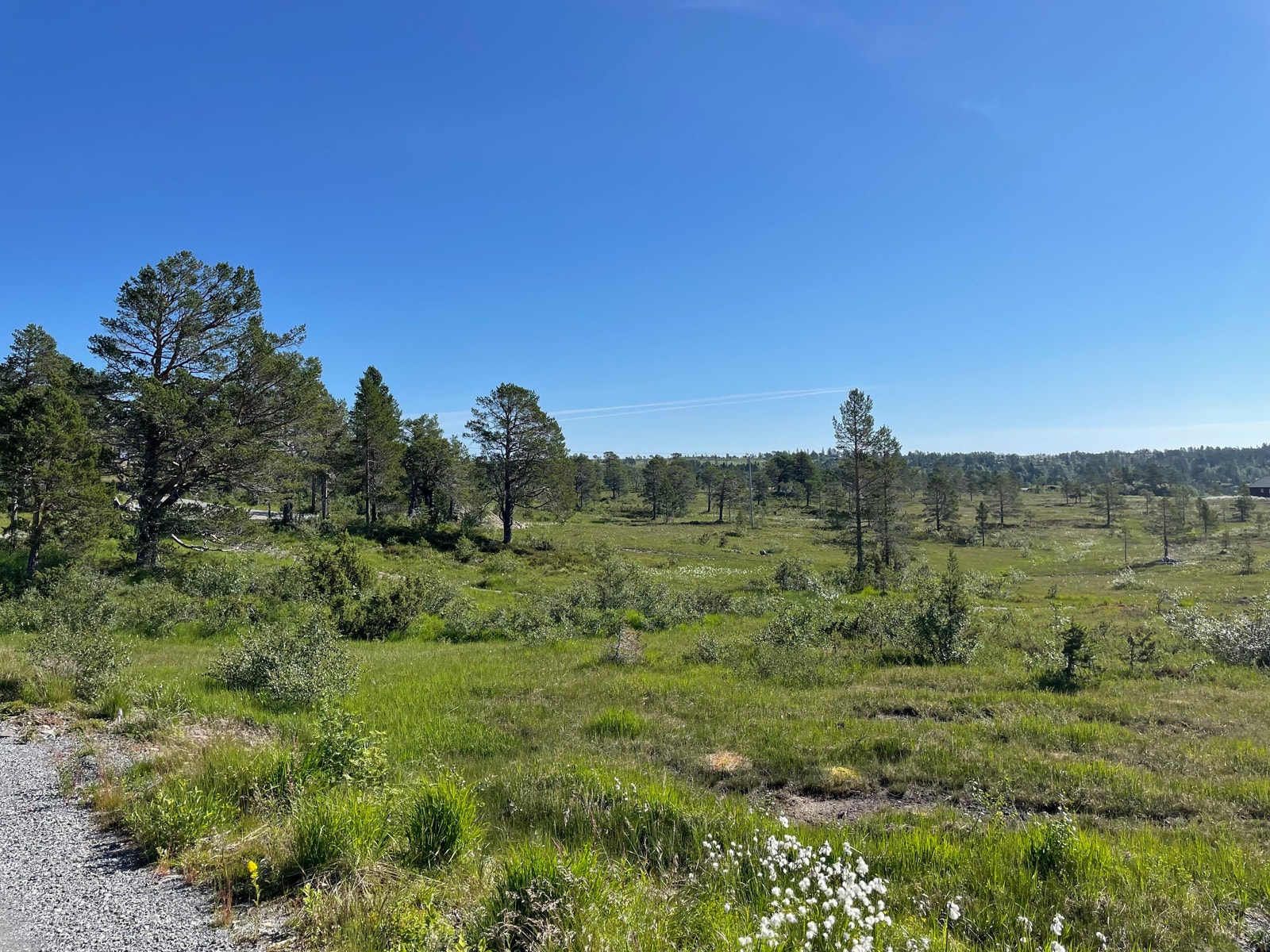 Bilder fra tomteområdet Galleribilde