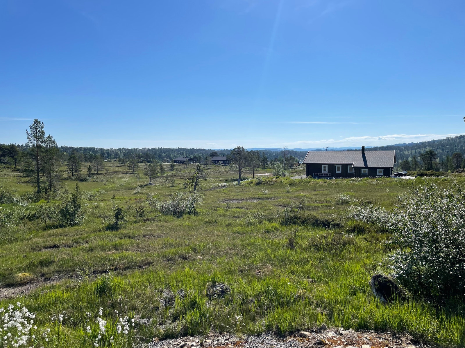 Bilder fra tomteområdet Galleribilde