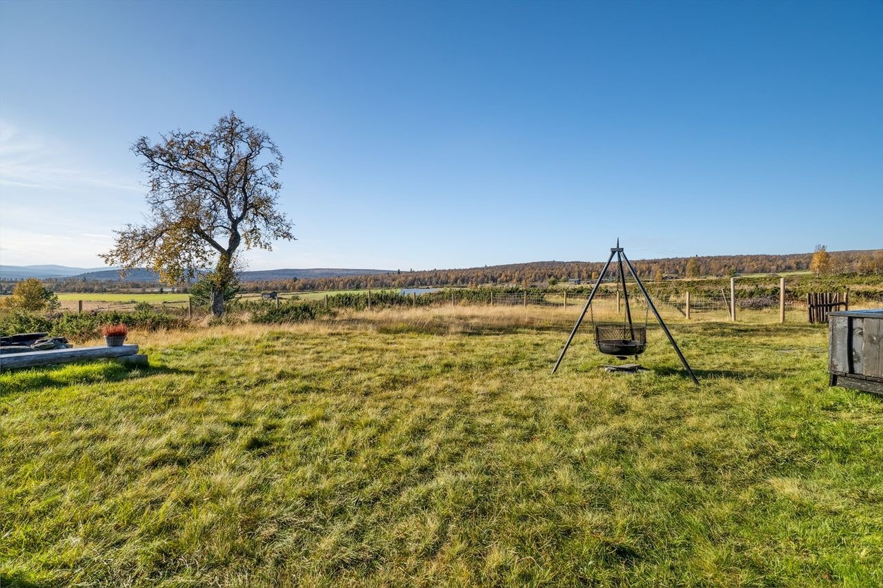 Volsvangan Galleribilde