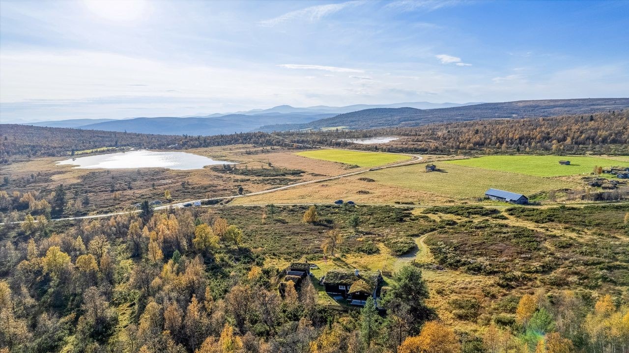 Volsvangan Galleribilde