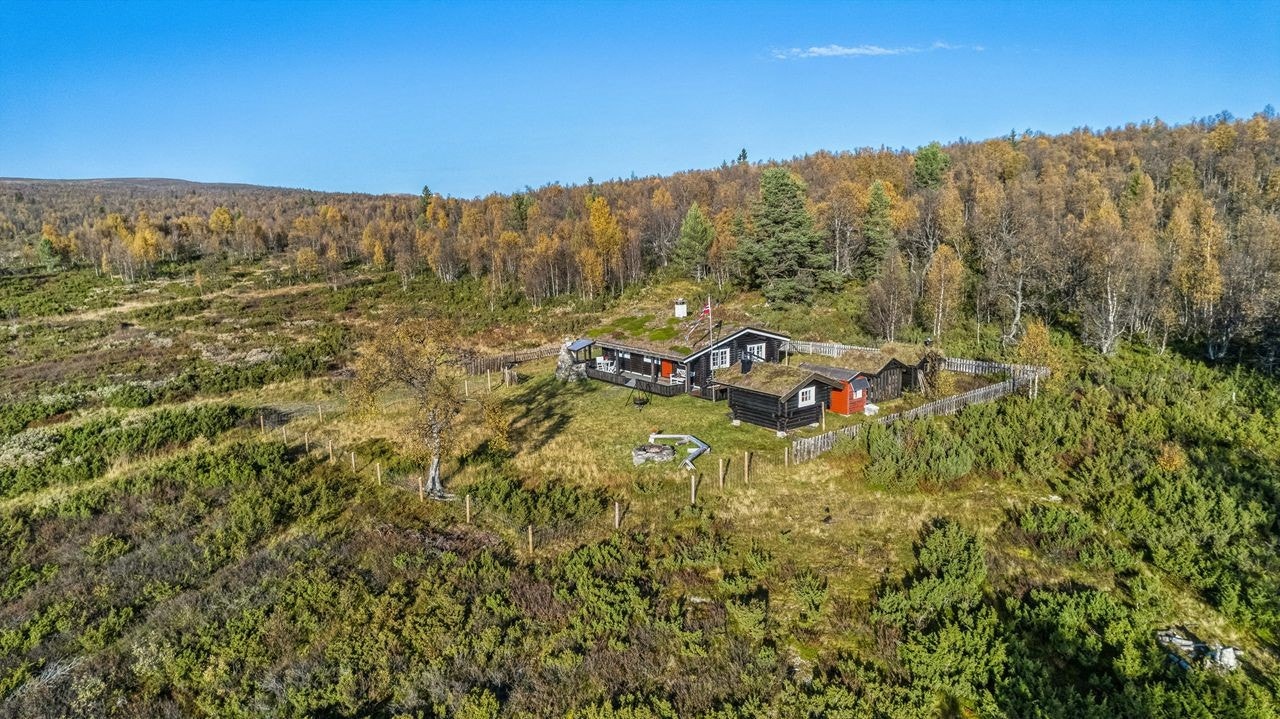 Volsvangan Galleribilde