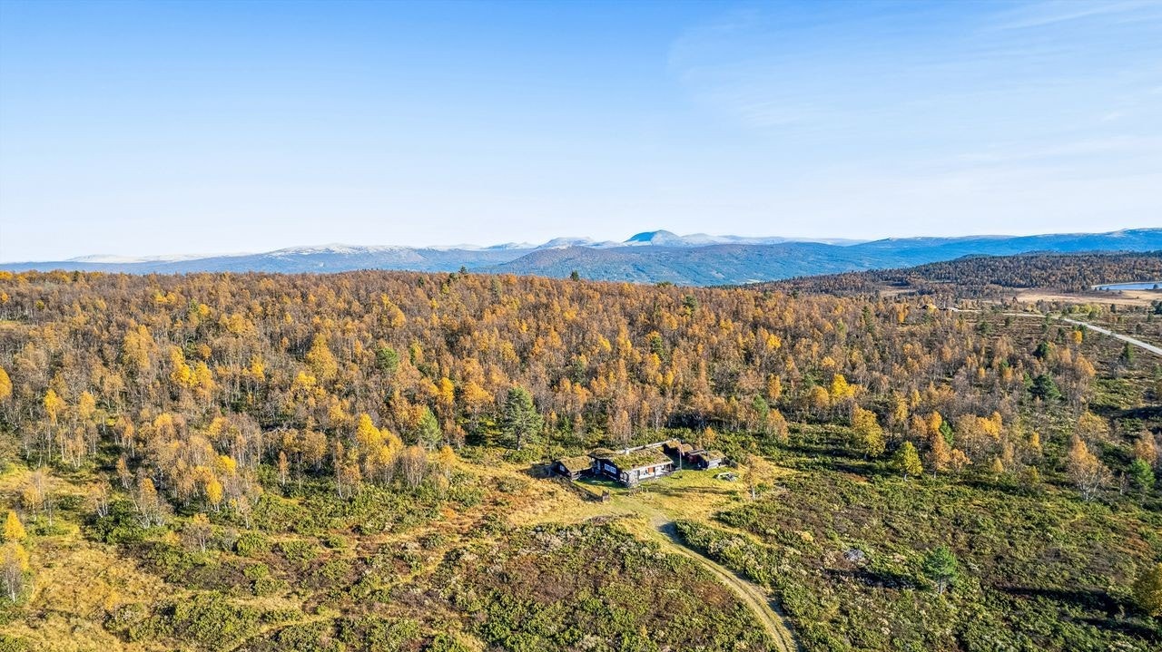 Volsvangan Galleribilde