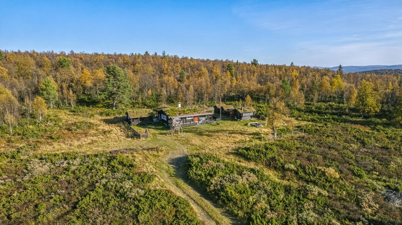 Volsvangan Galleribilde