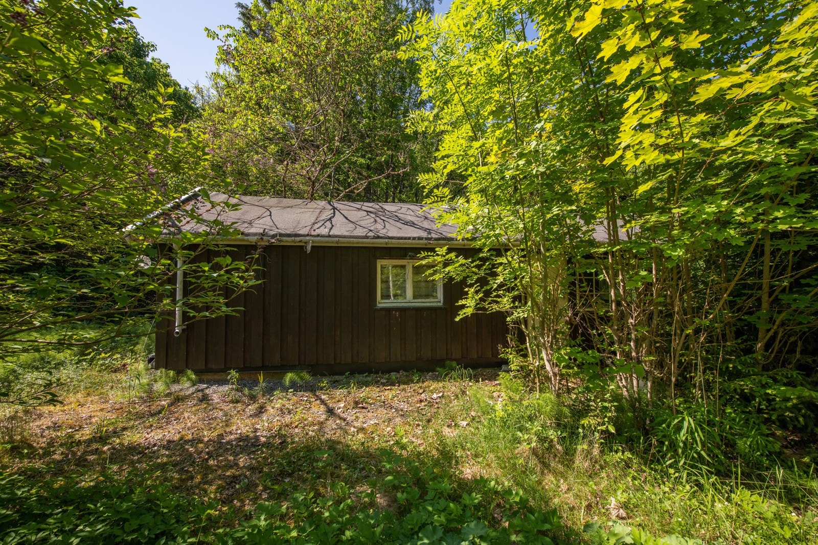 Tomten er bebygget med en eldre hytte i tilnærmet kondemnabel stand Galleribilde