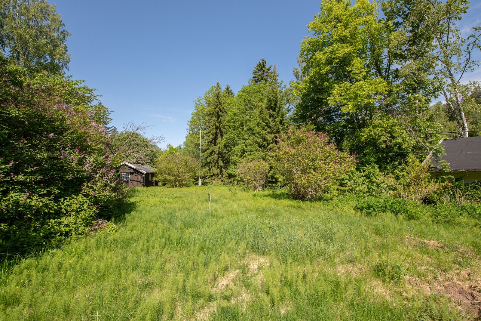 Tomten tilrettelegger for 2-mannsbolig eller enebolig Galleribilde