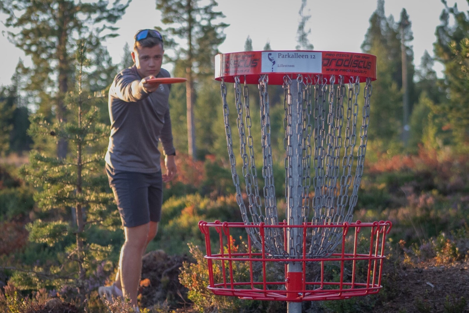 Diskgolf er et av de nyere tilbudene på Furutangen, hele 24 hulls bane Galleribilde