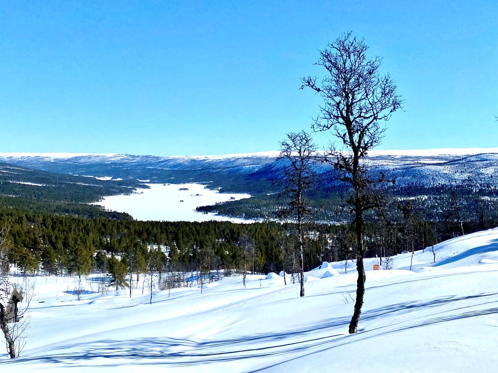 Nydelig utsikt fra tomten Galleribilde