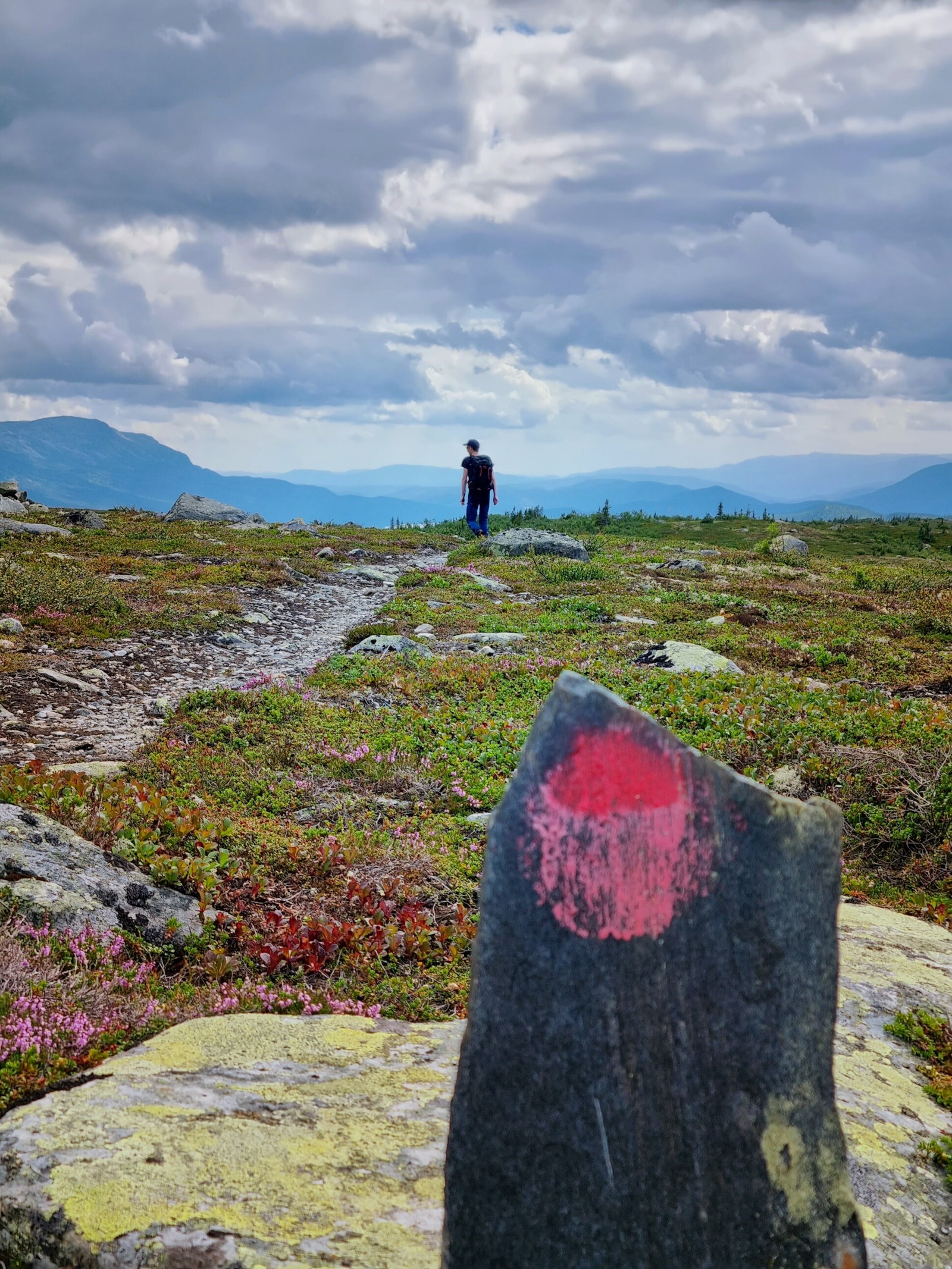 Søre Vegglifjell har flere familievennlige fjelltopper på over 1000 moh å bestige. Galleribilde
