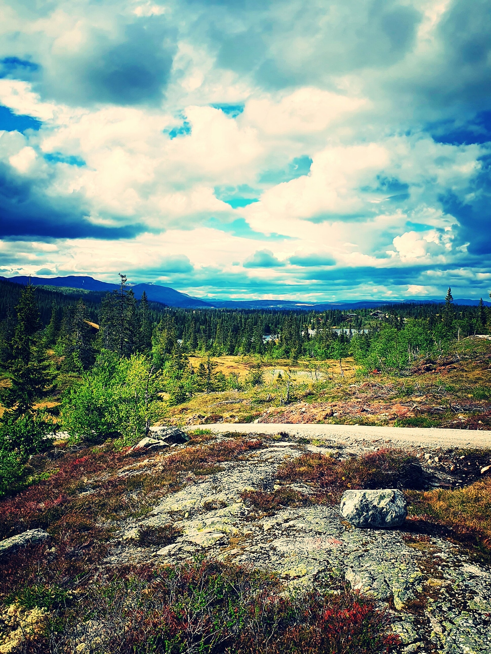 Med rundt 80 km med sykkeltrasèer på Vegglifjell, finner du sykkelruter som passer både for trening og familieturer. Galleribilde