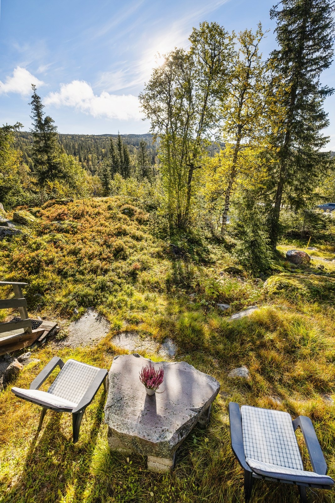 Sommertid er det rikelige muligheter i oppmerkede stier i flott fjellterreng. Gode multeforhold på viddene innover fra hytta. Galleribilde
