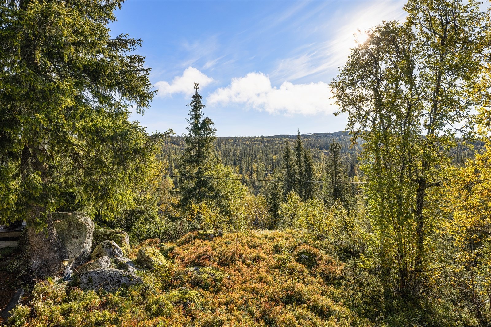 Vinterstid går langrennsløypene rett i nedenfor og da er du koblet til hele løypenettet Haglebu - Tempelseter og Norefjelll. Galleribilde
