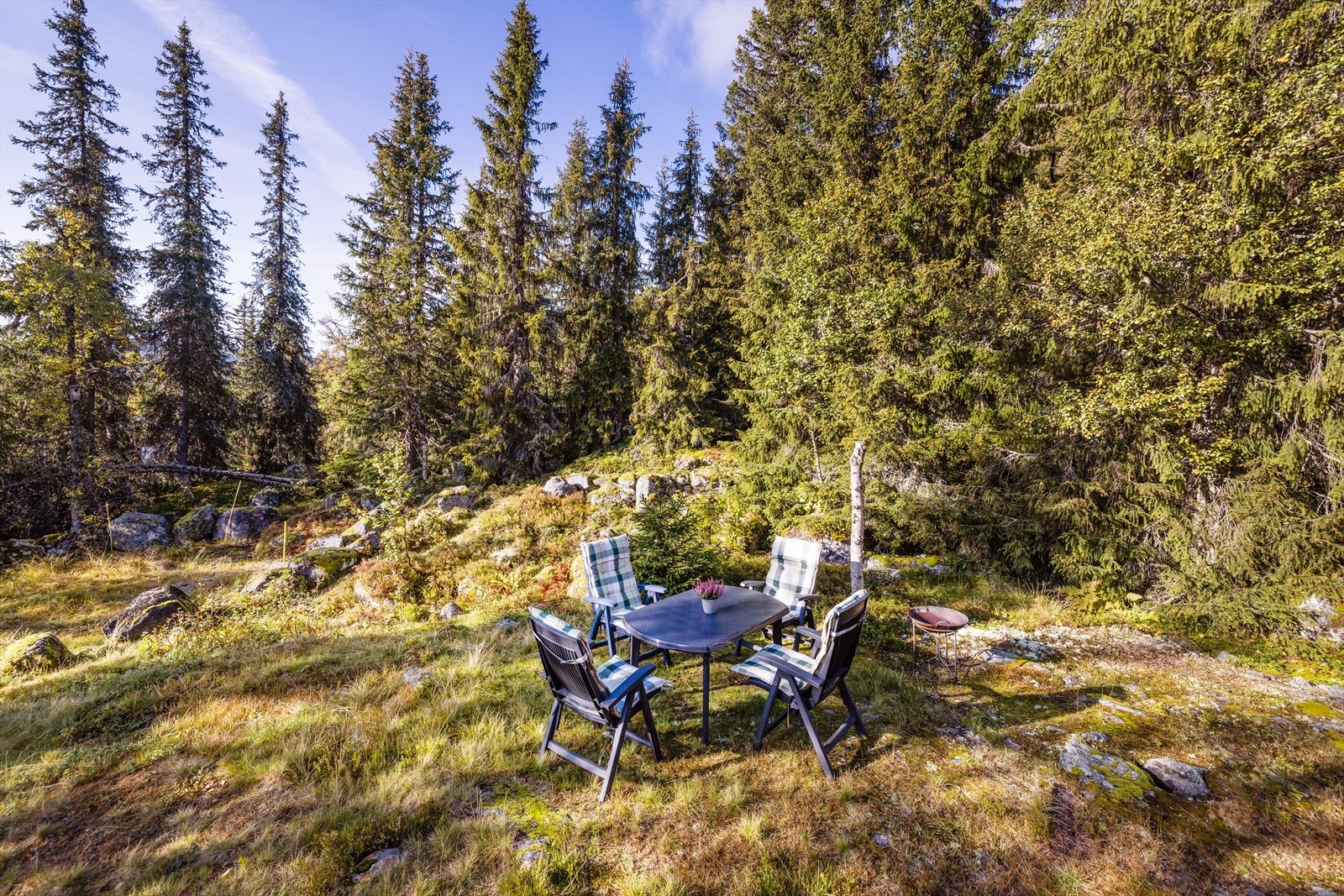 Tomta er lett opparbeidet naturtomt omgitt av skog på tre sider. Galleribilde