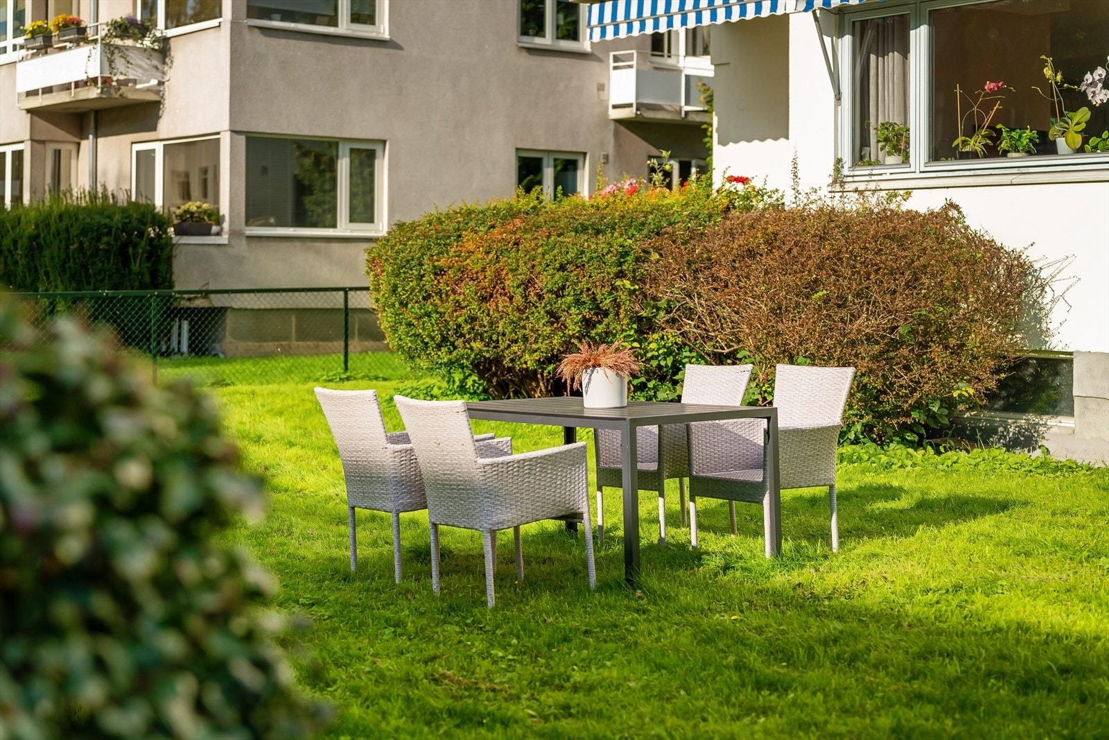 Flotte fellesområder med vakre grøntarealer Galleribilde